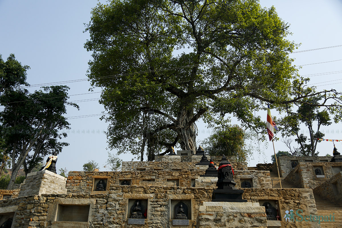 Nuwakot jatra (26).jpg